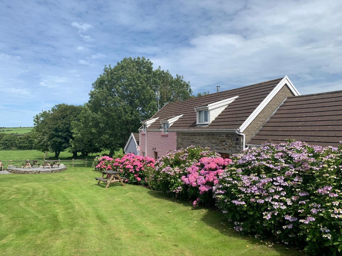 Canllefaes Cottages Cardigan Exterior photo