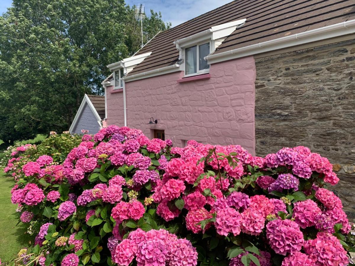 Canllefaes Cottages Cardigan Exterior photo